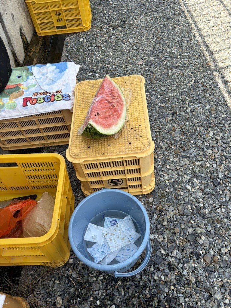 休憩に用意した冷えたスイカとバケツ