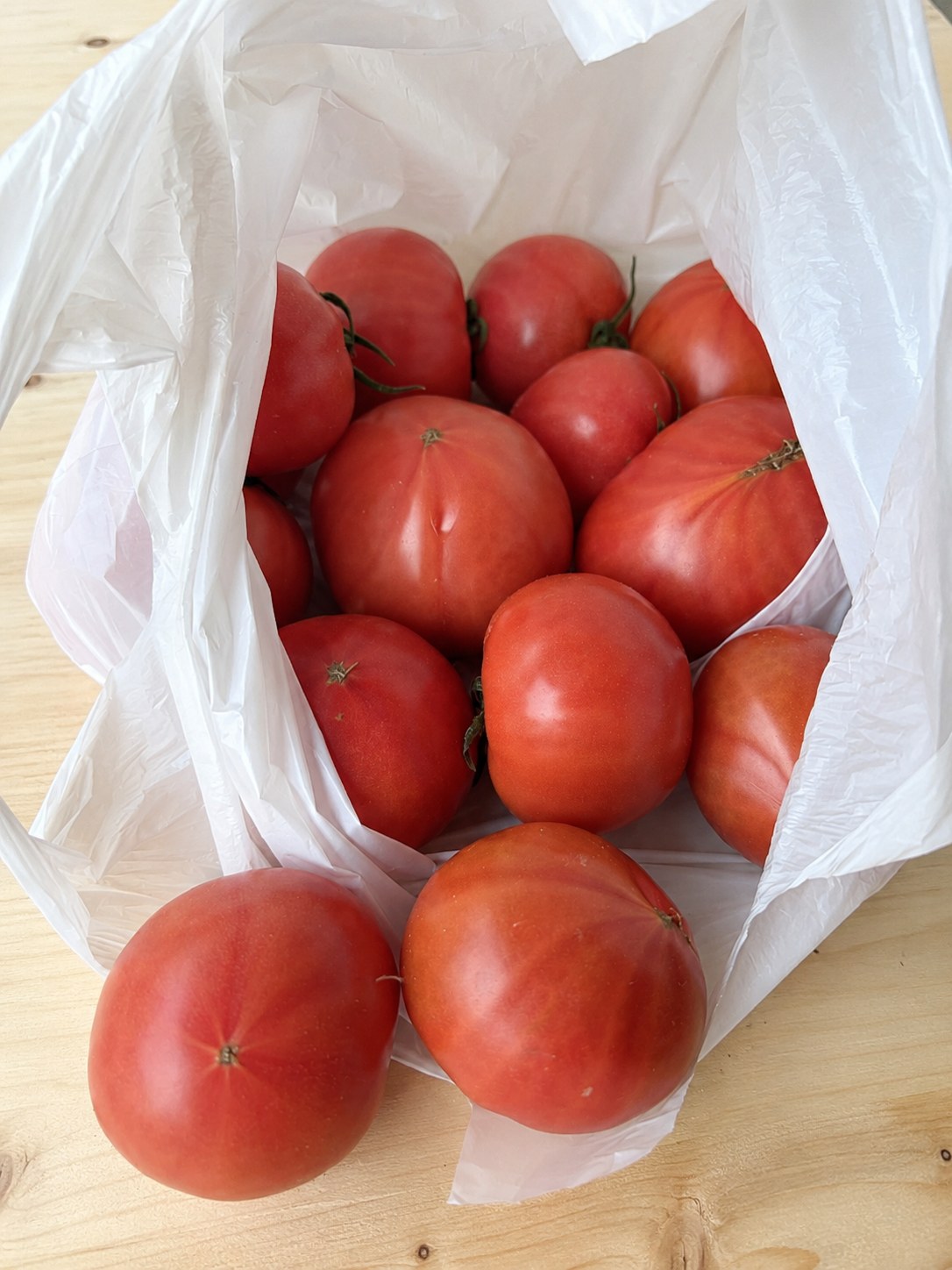 A袋（お得用）の垢田トマト 約1.6kg